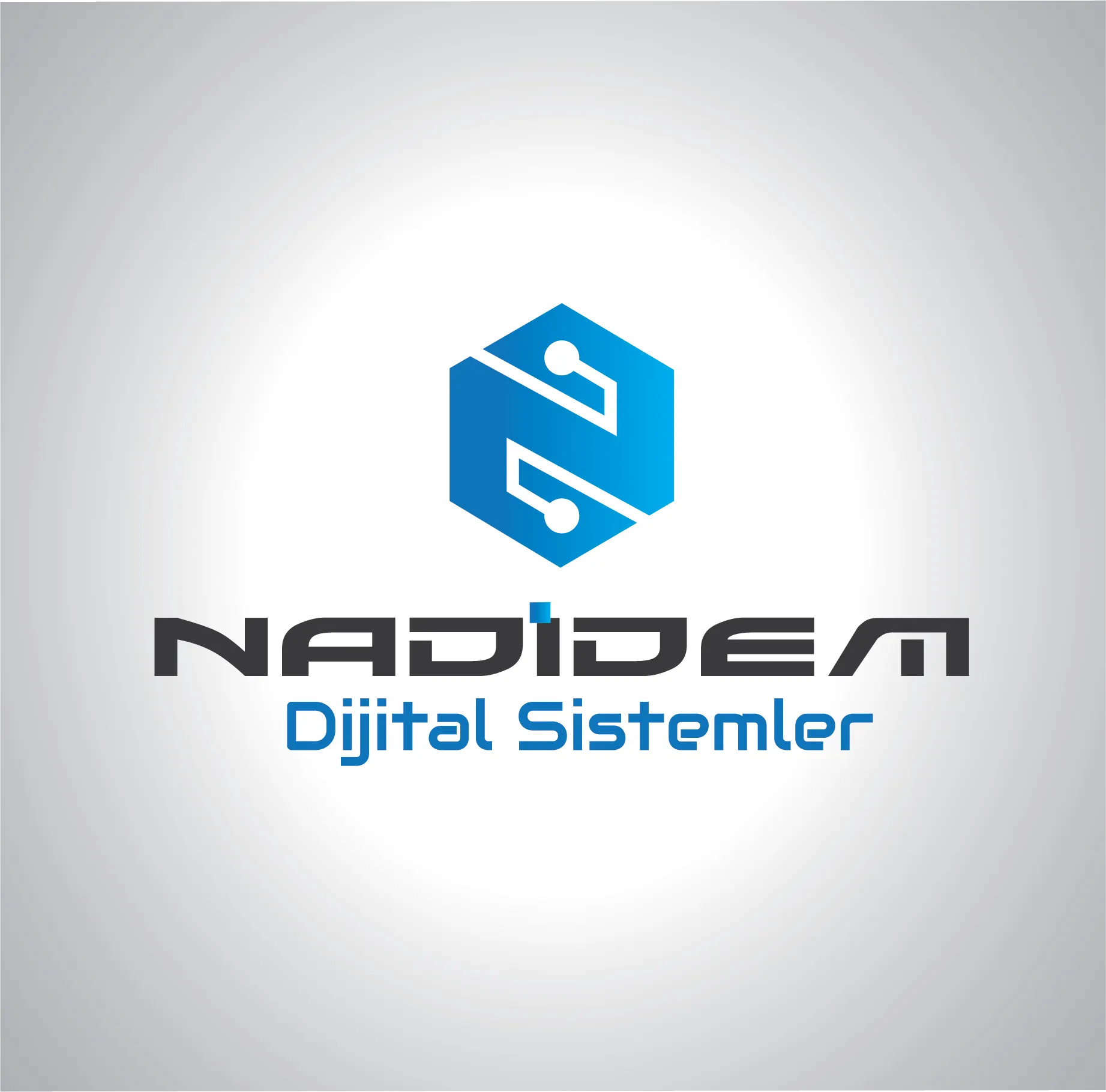 NADİDEM DİJİTAL SİSTEMLERİ DANIŞMANLIK YAZILIM BİLGİSAYAR İNŞAATTAAH.İTH.İHR.SAN.VE TİC.LTD. ŞTİ.